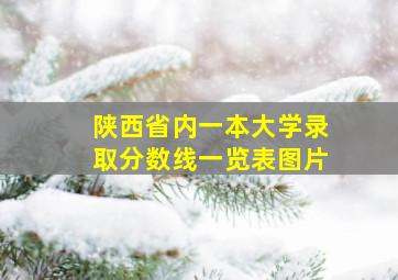 陕西省内一本大学录取分数线一览表图片