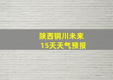 陕西铜川未来15天天气预报