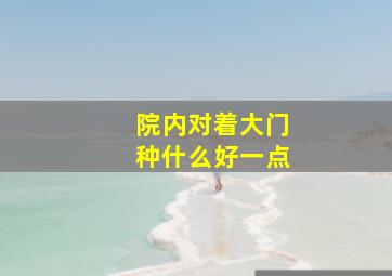 院内对着大门种什么好一点