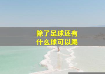 除了足球还有什么球可以踢