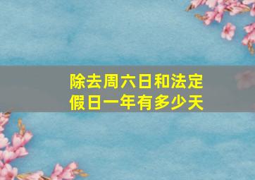 除去周六日和法定假日一年有多少天