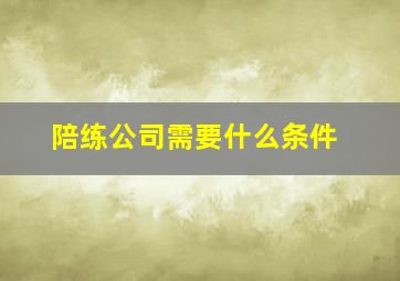 陪练公司需要什么条件