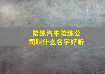 陪练汽车陪练公司叫什么名字好听