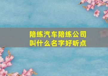 陪练汽车陪练公司叫什么名字好听点