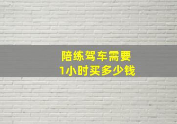 陪练驾车需要1小时买多少钱