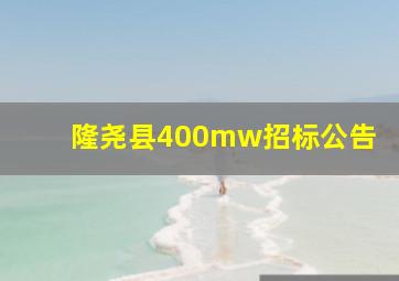 隆尧县400mw招标公告