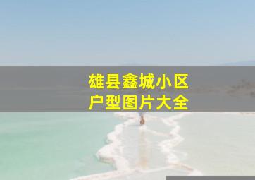 雄县鑫城小区户型图片大全