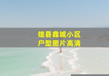 雄县鑫城小区户型图片高清