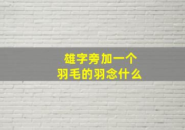 雄字旁加一个羽毛的羽念什么