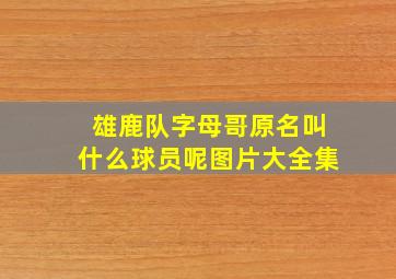 雄鹿队字母哥原名叫什么球员呢图片大全集