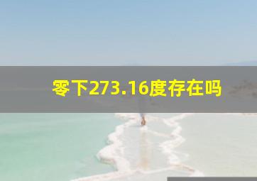 零下273.16度存在吗