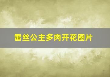 雷丝公主多肉开花图片