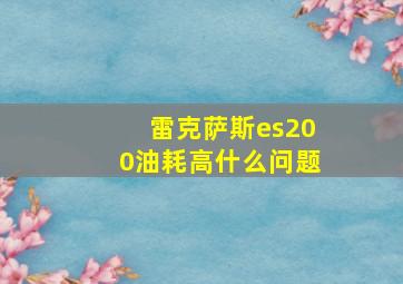 雷克萨斯es200油耗高什么问题