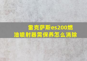 雷克萨斯es200燃油喷射器需保养怎么消除