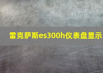 雷克萨斯es300h仪表盘显示