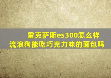 雷克萨斯es300怎么样流浪狗能吃巧克力味的面包吗