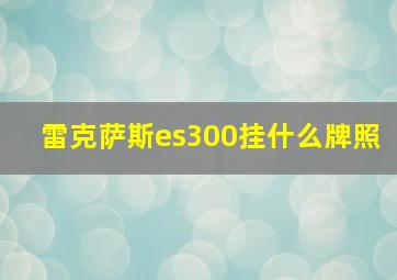 雷克萨斯es300挂什么牌照