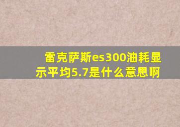 雷克萨斯es300油耗显示平均5.7是什么意思啊