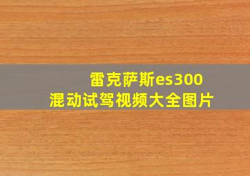 雷克萨斯es300混动试驾视频大全图片