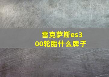 雷克萨斯es300轮胎什么牌子