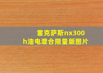 雷克萨斯nx300h油电混合限量版图片