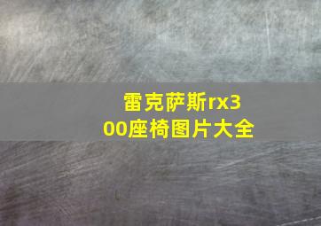 雷克萨斯rx300座椅图片大全