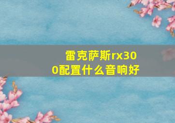 雷克萨斯rx300配置什么音响好