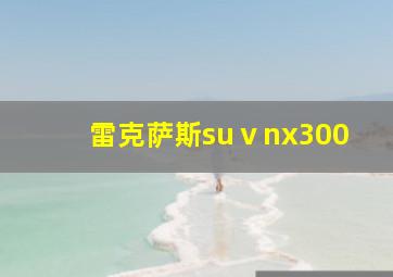 雷克萨斯suⅴnx300