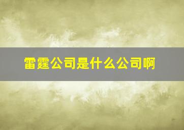 雷霆公司是什么公司啊