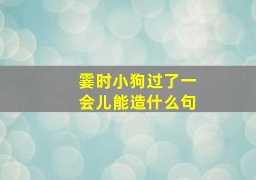 霎时小狗过了一会儿能造什么句