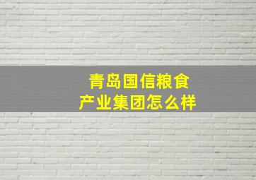 青岛国信粮食产业集团怎么样