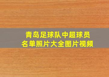 青岛足球队中超球员名单照片大全图片视频