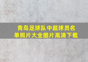 青岛足球队中超球员名单照片大全图片高清下载