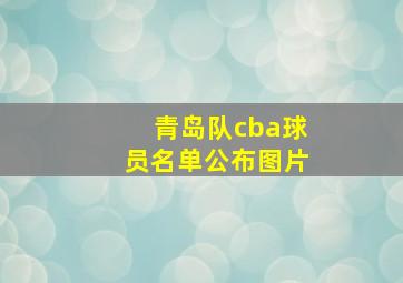 青岛队cba球员名单公布图片