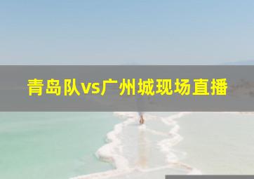 青岛队vs广州城现场直播