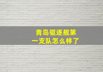 青岛驱逐舰第一支队怎么样了