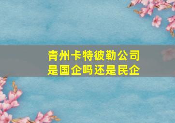 青州卡特彼勒公司是国企吗还是民企