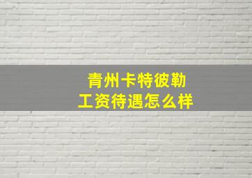 青州卡特彼勒工资待遇怎么样