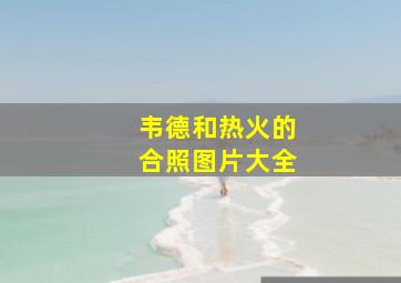 韦德和热火的合照图片大全