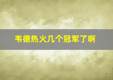 韦德热火几个冠军了啊