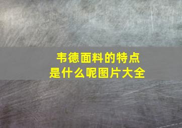 韦德面料的特点是什么呢图片大全