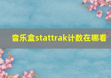 音乐盒stattrak计数在哪看