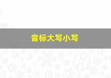 音标大写小写