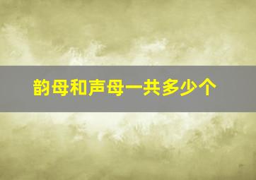 韵母和声母一共多少个