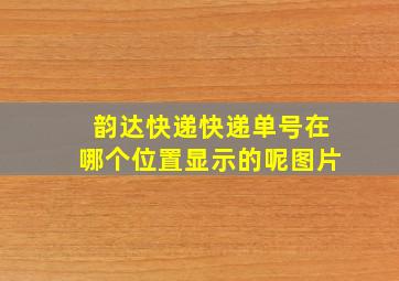 韵达快递快递单号在哪个位置显示的呢图片