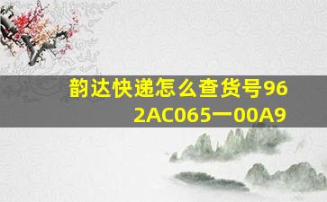 韵达快递怎么查货号962AC065一00A9