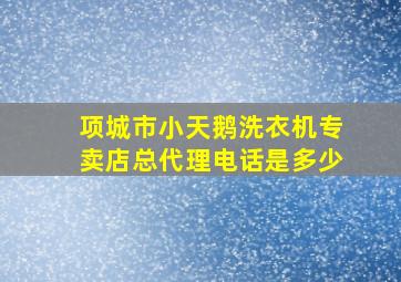 项城市小天鹅洗衣机专卖店总代理电话是多少