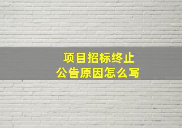 项目招标终止公告原因怎么写