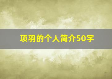 项羽的个人简介50字