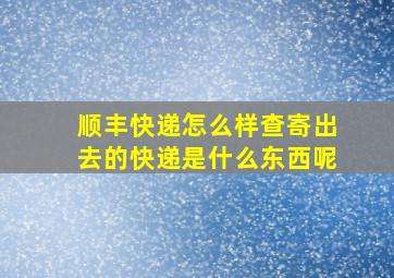 顺丰快递怎么样查寄出去的快递是什么东西呢